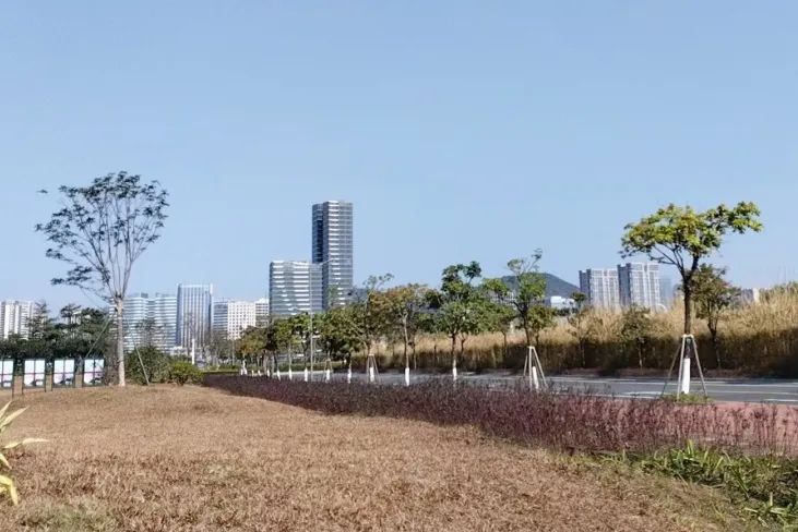 1747296863542220.jpg 20.jpg