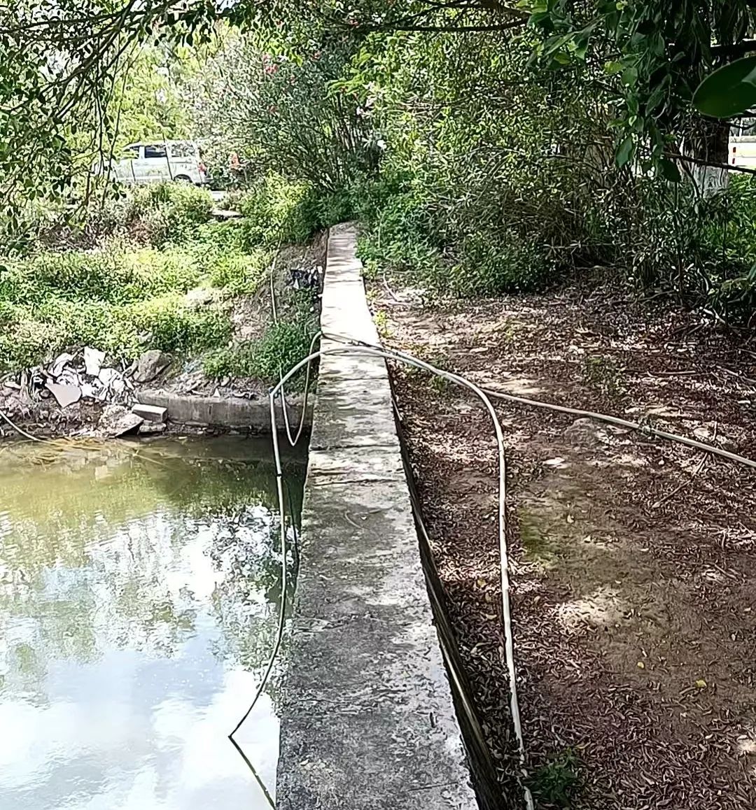 1757575484650000.jpg 9.jpg